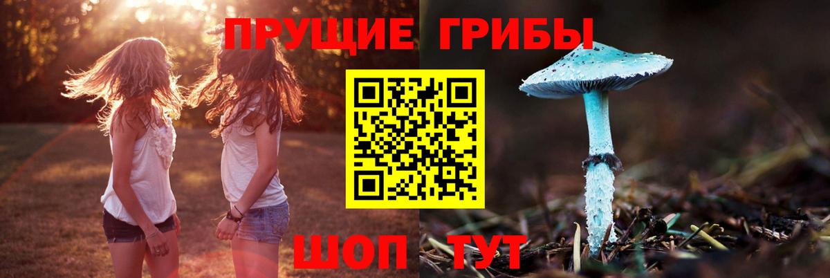 Новотроицк  Псилоцибиновые грибы ЛСД  Псилоцибиновые грибы прущие грибы  Вход с VPN 